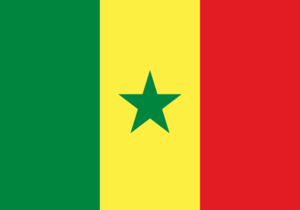 Senegal Flagge WM 2018 wettbonus.net