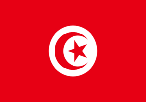 Tunesien Flagge WM 2018 wettbonus.net