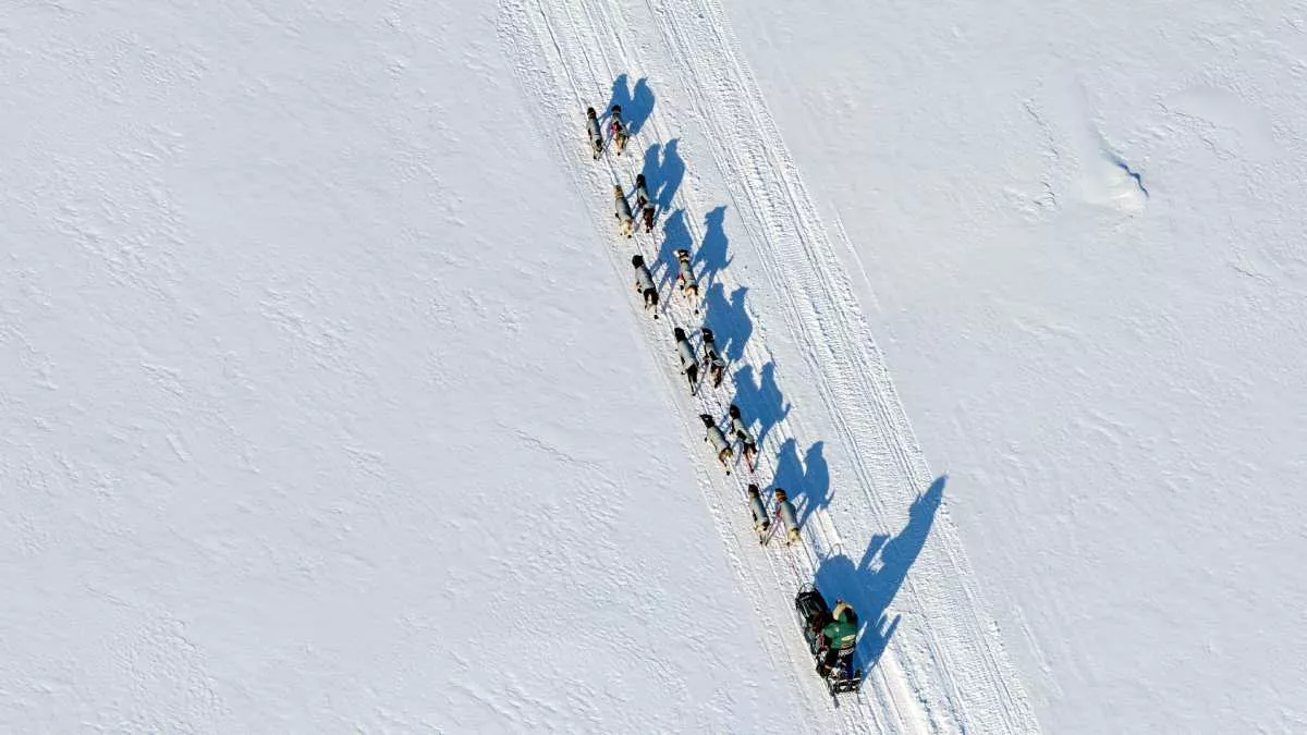 Top10: Die gefährlichsten Sportarten - Iditarod