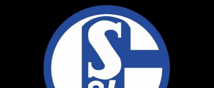 Warum Schalke abstieg. Das Drama in vielen Akten Warum Schalke abstieg. Das Drama in vielen Akten