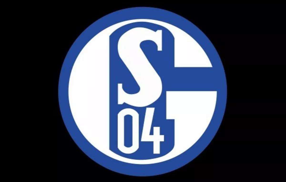 Warum Schalke abstieg. Das Drama in vielen Akten