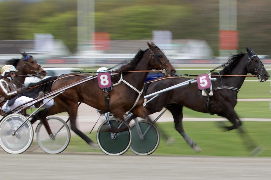 Pferderennen wetten Deutschland
